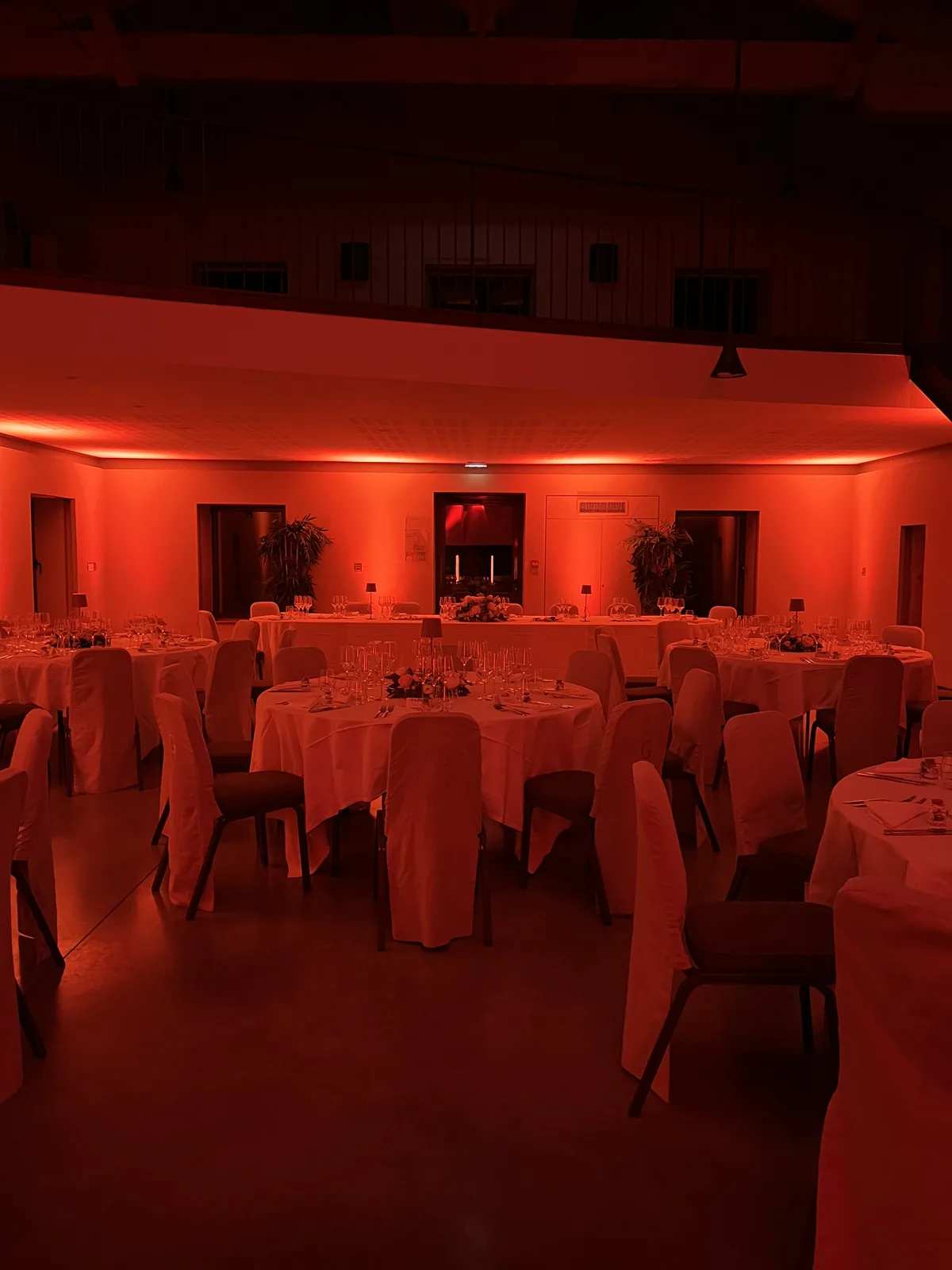 Wedding — Château Grattequina, Château Grattequina, Bordeaux — photo 9